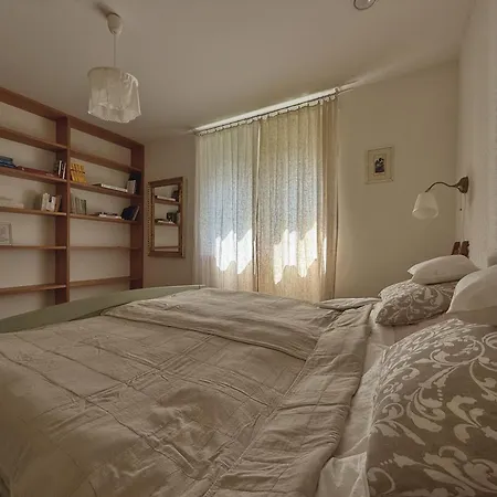 4borovice *