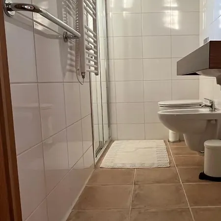 4borovice *